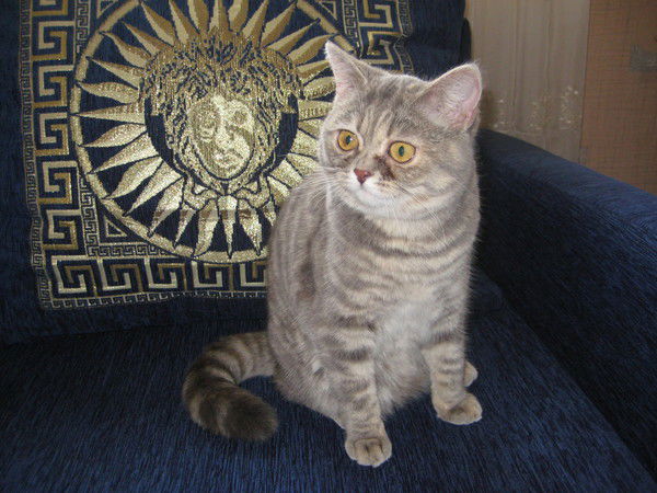 Любовь Титова