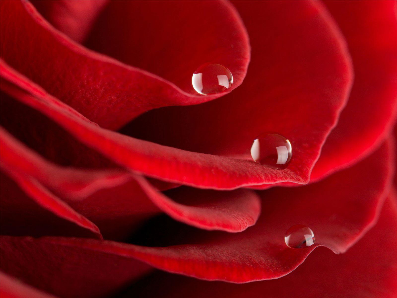 Валя Хадикова