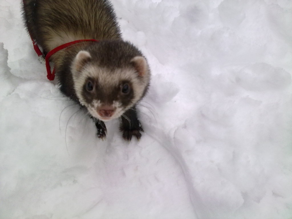 Лариса Виноградова