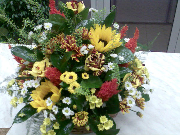 Эльвира Яяя