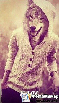 Витя Голяка