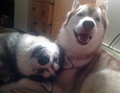 Алина Малкова