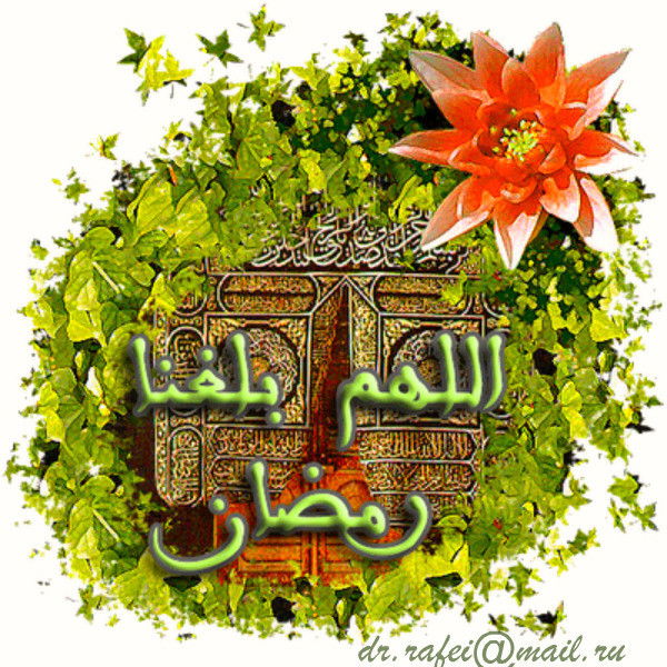 Фатимат Азикова (Чемазокова)