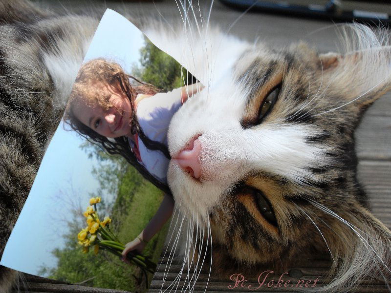 Ариадна Соколова