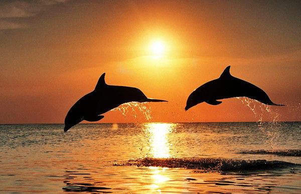 Татьяна Шакирова