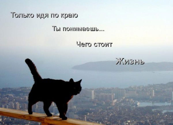 Санобар А.а.а