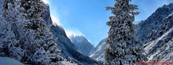 Сагын Кулботоев