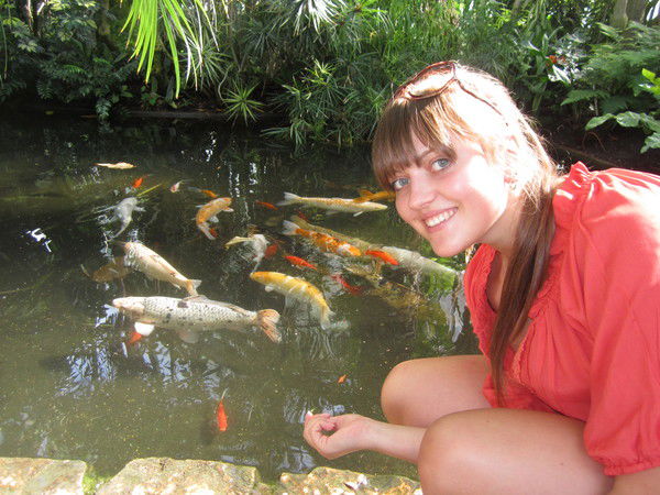 Вікторія Котик