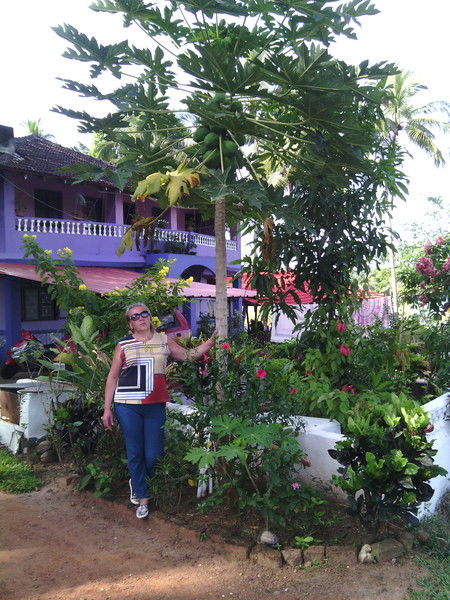 Ирина Карсакова