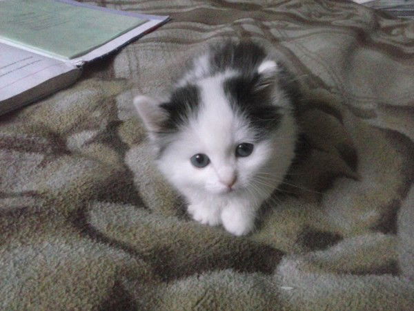 Маргарита Галимова