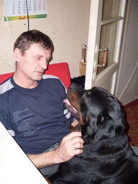 Владимир Разгуляев