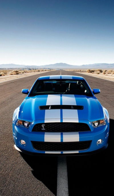 Артемий Кот