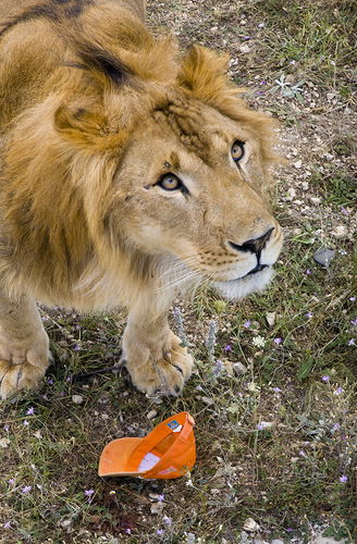 Максим Юсов