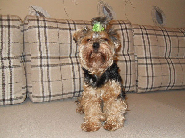 Александр Кудряшов