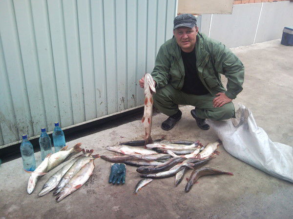 Андрей Паженцев