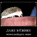 Latandrey Latandr