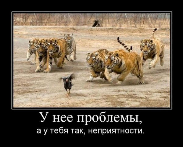 Алексей Батраков