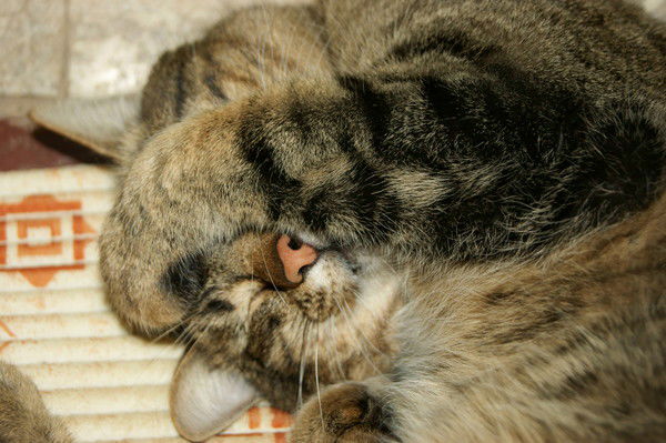 Рауф Забиров