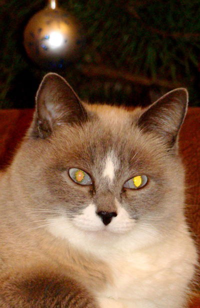 Наталья Уханова