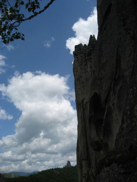 Николай Фролков