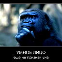 Bigmen Lomov