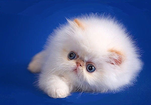 Игорь Касьянов