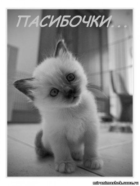 Людмила Носкова