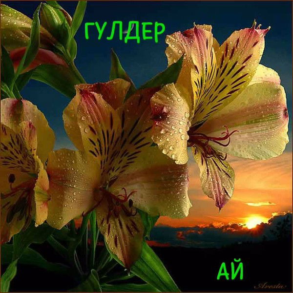 Гульдерай Балтыбаева