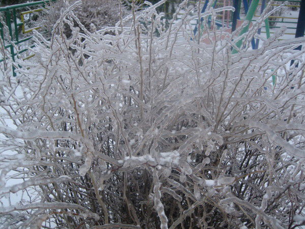 Александр Цуканов