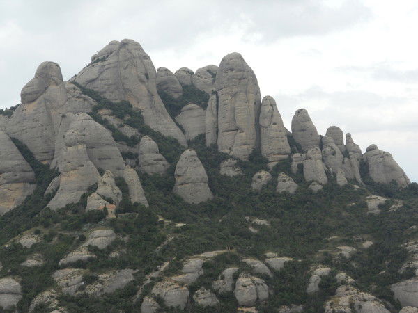 Марат Алиев