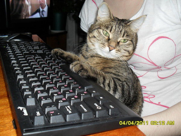 Анна Варанкина