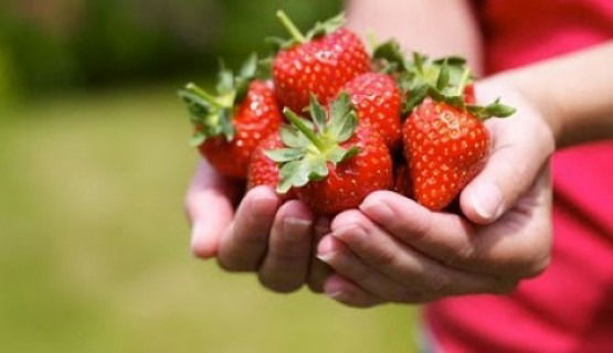 Лариса Юрьевна