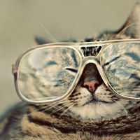 Даяна Бобраніцька