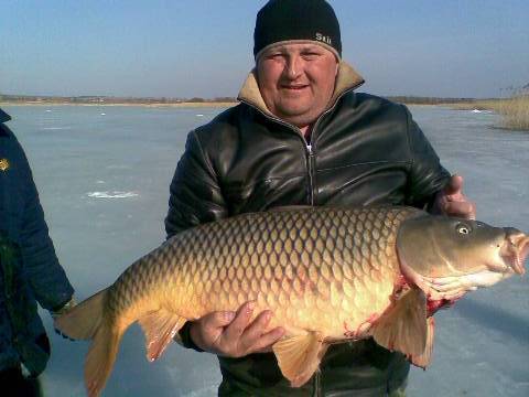 Александр Левченко