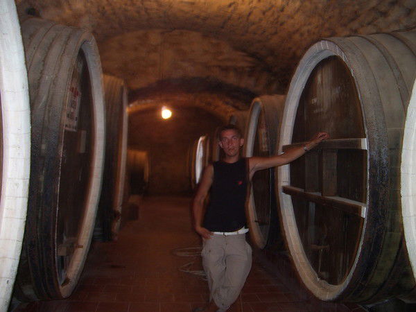 Александр Чеплыгин