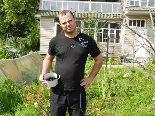 Николай Бардин