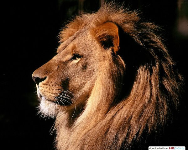 Евгений Резников