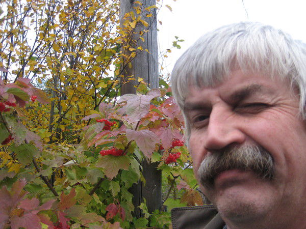 Александр Гасилов