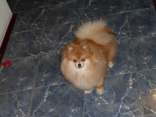 Арсений Казаков