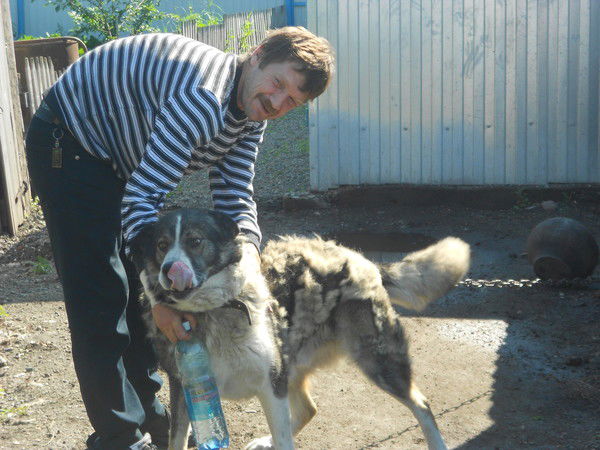 Дмитрий Береснев