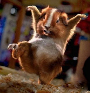 Пэо Севтеплоэнерго