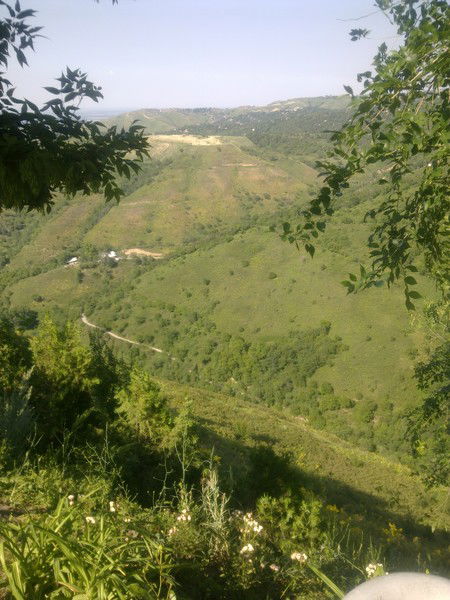 Айым Ахметова