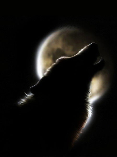 Олег Ануфриев