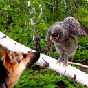 Андрей Аржанов