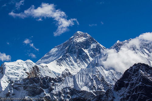 Ирина Сайфулина