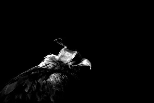 Абзал Молдабек