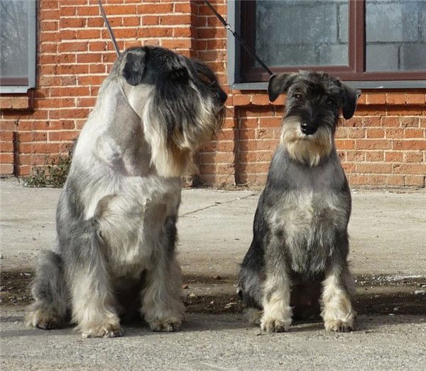 Ирина Паромова