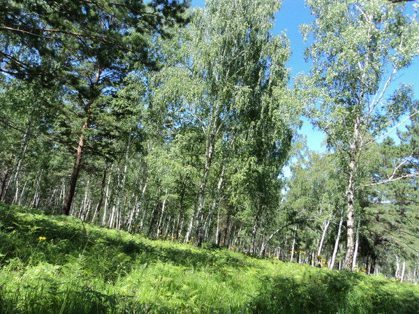 Иван Иванов