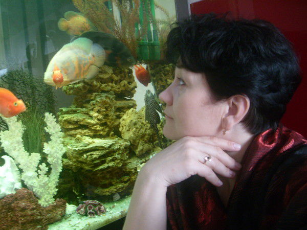 Елена Елена