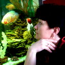 Елена Елена